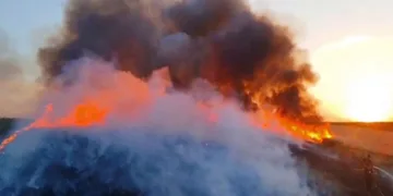 Alev alev yanan buğday tarlasını söndürmek için seferber oldular