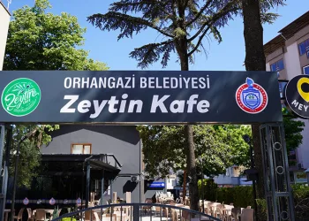 Orhangazi Belediyesi Zeytin Kafelerde Hafta Sonu Yoğunluğu