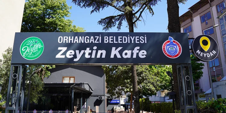 Orhangazi Belediyesi Zeytin Kafelerde Hafta Sonu Yoğunluğu