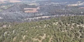 Bilecik’te yangın bölgesi havadan görüntülendi