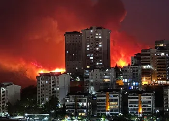 Bursa’nın ciğerleri yanıyor