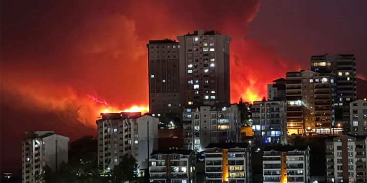 Bursa’nın ciğerleri yanıyor