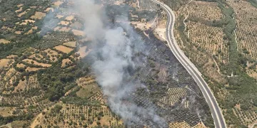 Muğla’da orman yangını