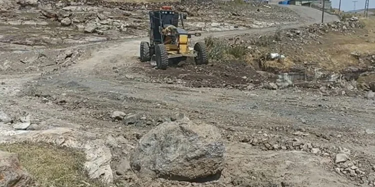 Sıcaktan bunaldı yavru kangal ile aynı varilin içinde serinledi