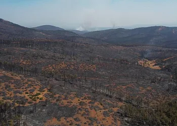 Bursa’nın Ormanları Küle Döndü, Geriye Acı Bir Tablo Kaldı