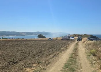 Bursa’da yangına zamanında müdahale buğday tarlasını kurtardı