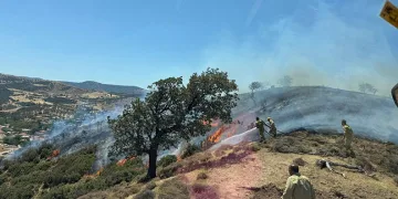 Çanakkale’de makilik alanda yangın