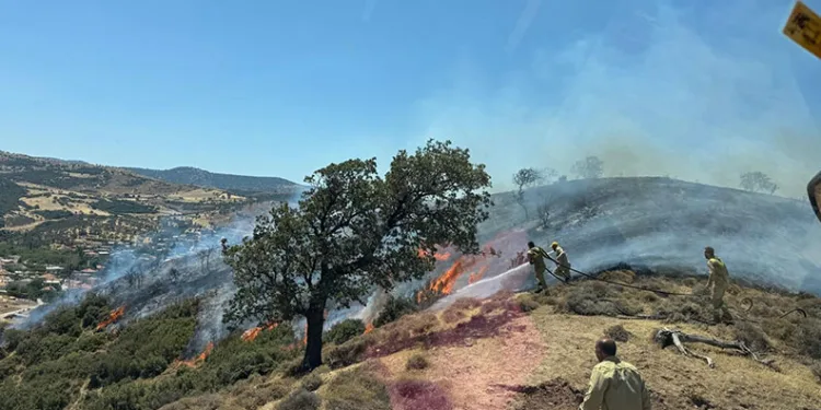 Çanakkale’de makilik alanda yangın