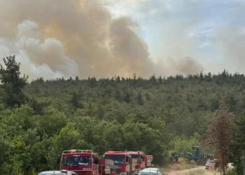 Bilecik’te orman yangını başladı