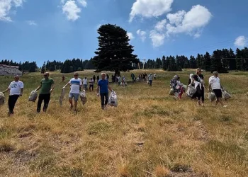 Uludağ’da yangına karşı temizlik seferberliği