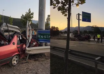 Bursa’da orman yangını
