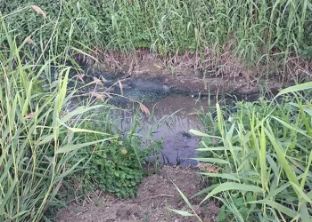 Bursa’da dereye akan lağım suyu, mahalleliyi isyan ettirdi