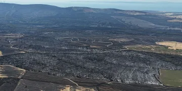 Tekirdağ’da başlayarak Çanakkale’ye ulaşan orman yangınında yanan yerler dron ile görüntülendi