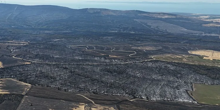 Tekirdağ’da başlayarak Çanakkale’ye ulaşan orman yangınında yanan yerler dron ile görüntülendi