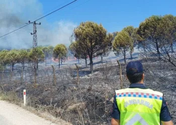 Bursa Nilüfer’de ormanlık alanda yangın