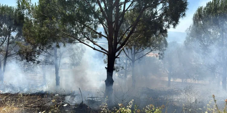 Bursa Nilüfer Çatalağıl’da Yangın Kontrol Altına Alındı