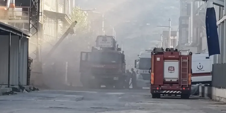 Bursa’da mobilya fabrikası alev alev yandı
