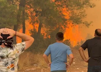 Antalya’da dört noktada orman yangını: Müdahale sürüyor