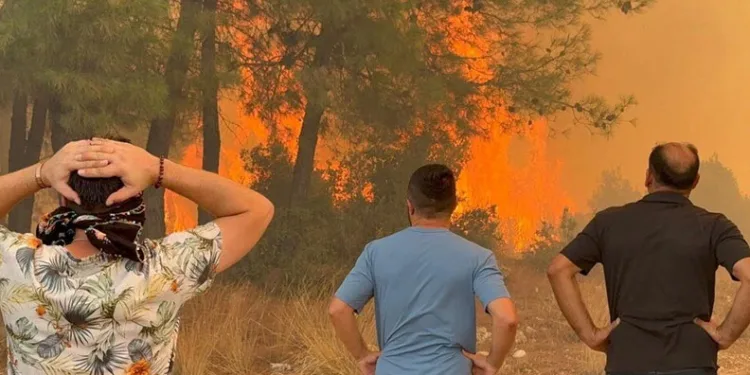 Antalya’da dört noktada orman yangını: Müdahale sürüyor