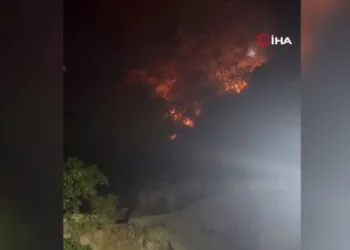 Bursa’da havai fişekle yangın çıkaran 4 kişi yakalandı