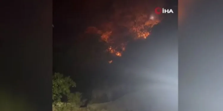 Bursa’da havai fişekle yangın çıkaran 4 kişi yakalandı