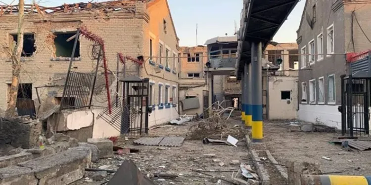 Sıcaktan bunaldı yavru kangal ile aynı varilin içinde serinledi