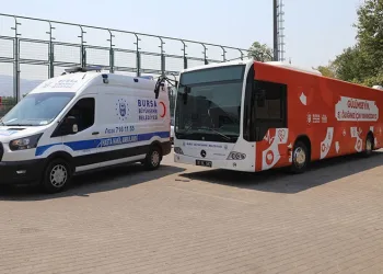 Büyükşehir, yangın bölgesindeki yaraları sarmaya başlıyor