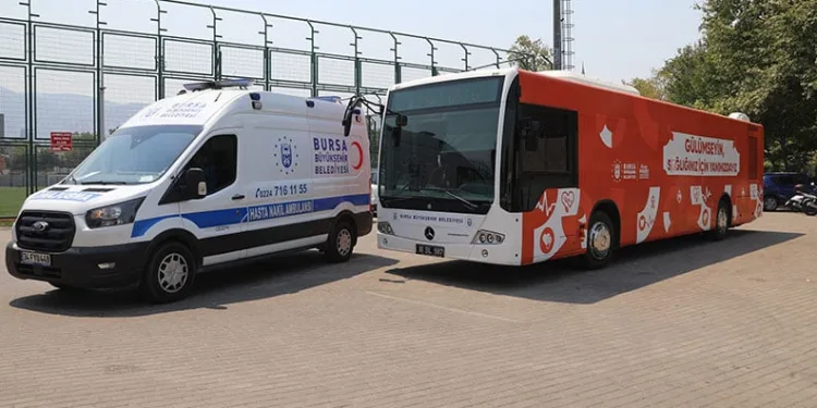 Büyükşehir, yangın bölgesindeki yaraları sarmaya başlıyor