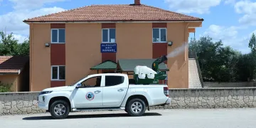 Kırşehir’de ‘yamyam tombul çekirge’ görüldü