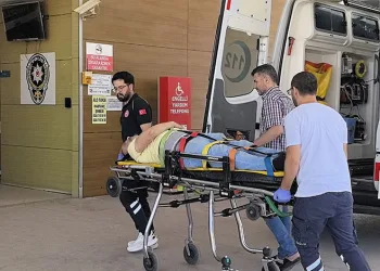 Yenişehir’de buğday tarlasında çıkan yangın ormana sıçradı