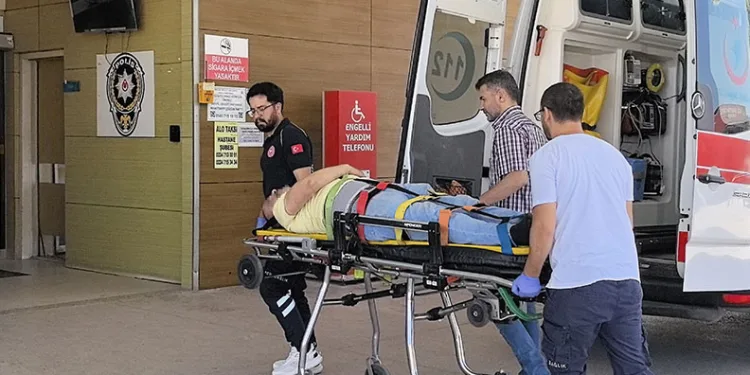Yenişehir’de buğday tarlasında çıkan yangın ormana sıçradı