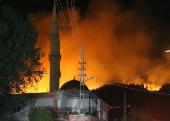 Hatay Dörtyol’da orman yangını sürüyor