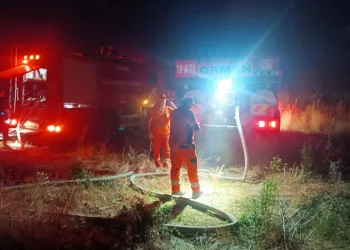 Bursa’da otluk alanda çıkan yangın ağaçlık alana sıçradı