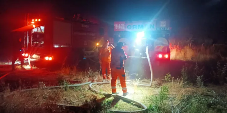 Bursa’da otluk alanda çıkan yangın ağaçlık alana sıçradı