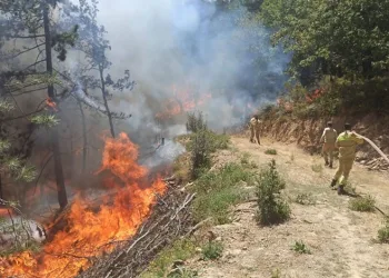 Bursa’da seyyar satıcılar ile zabıta arasında gerginlik