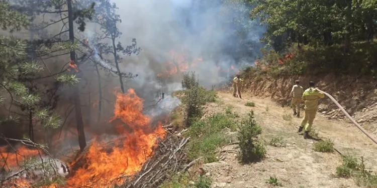 Bursa’da seyyar satıcılar ile zabıta arasında gerginlik