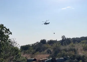 Nilüfer’deki orman yangını kontrol altına alındı