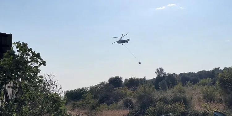 Nilüfer’deki orman yangını kontrol altına alındı