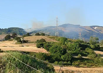 Bursa’da orman yangını