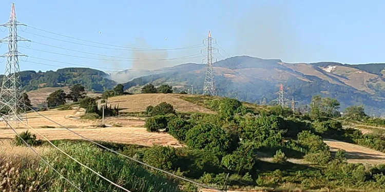 Bursa’da orman yangını