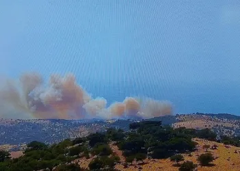 Çanakkale Ayvacık’ta orman yangını