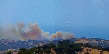 Çanakkale Ayvacık’ta orman yangını