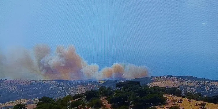 Çanakkale Ayvacık’ta orman yangını