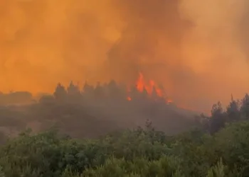 Balıkesir’de orman yangını