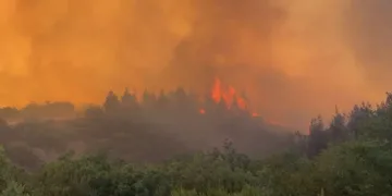 Balıkesir’de orman yangını