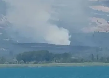 Bursa’nın İznik ilçesinde orman yangını