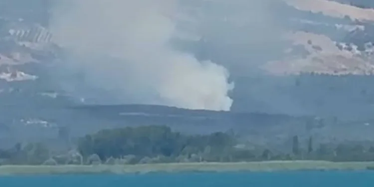 Bursa’nın İznik ilçesinde orman yangını