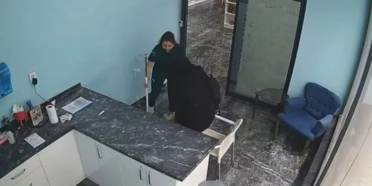 Bursa’daki depremde tedavi gören köpeği içeride bırakmadı