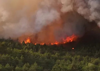 Karabük’te orman yangını kontrol altına alındı
