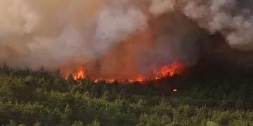 Karabük’te orman yangını kontrol altına alındı
